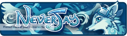 photo neverjay_banner_zps4d720a6c.png