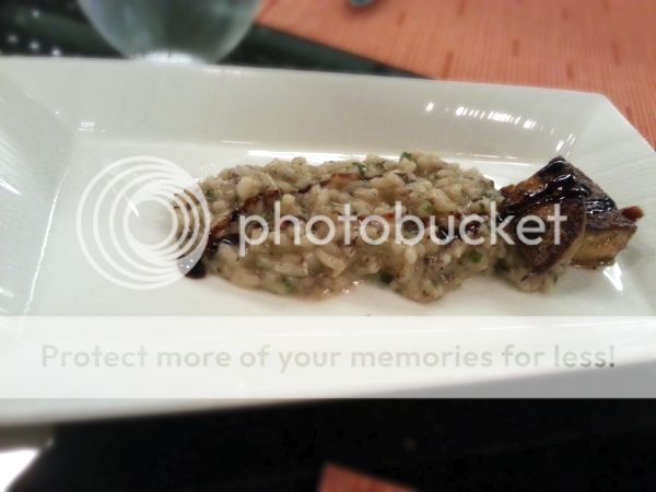  photo 20130407_123421_zpsc2842a87.jpg