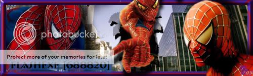 Flashexe688820.jpg