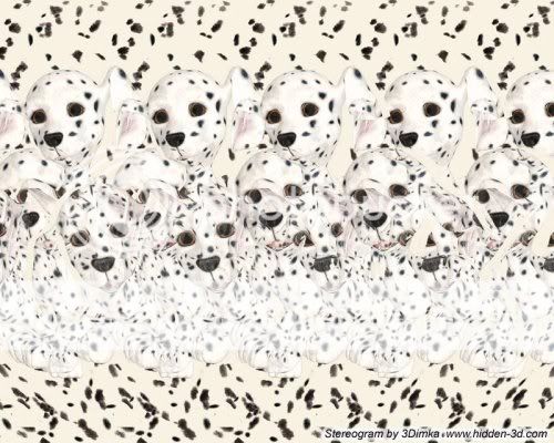 Stereograms11