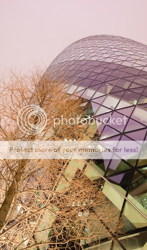 IMAGE: http://i352.photobucket.com/albums/r356/bouncingnrg/stuff/IMG_0142.jpg?t=1269272436